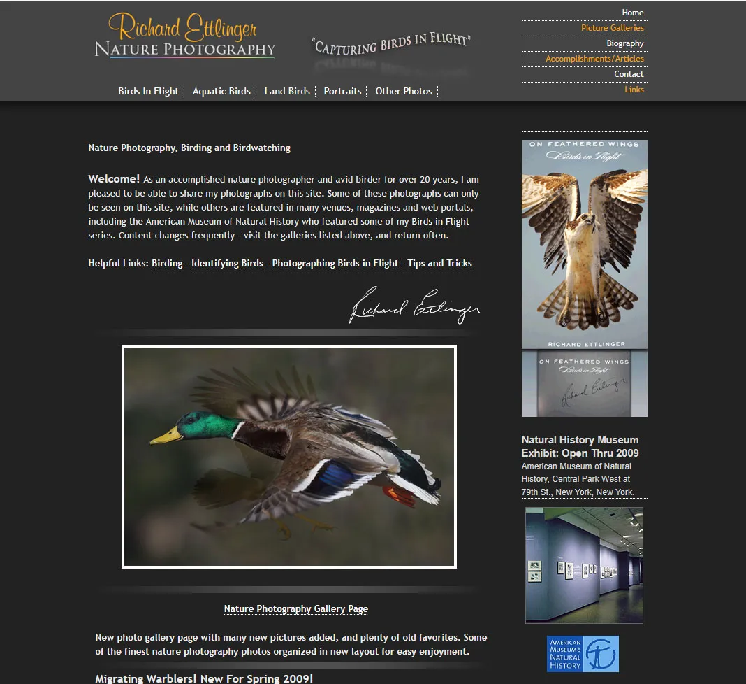 Richard Ettlinger's website